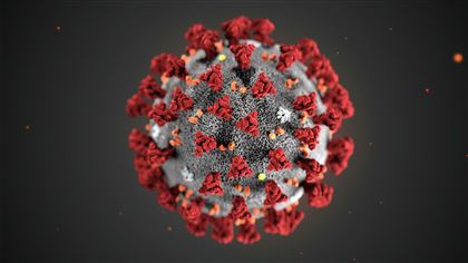 "Лямбда" - штамм, страшнее индийского: правда ли, что в мире появился самый опасный вид коронавируса