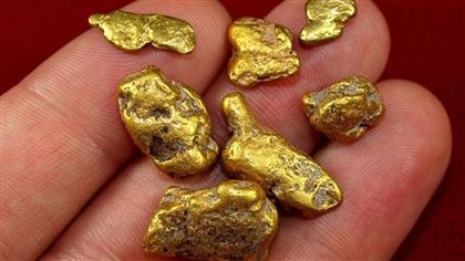 Казахстанка была задержана за попытку ввоза золотых слитков 