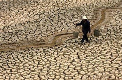 ООН: засухи стали причиной смерти 650 тыс. человек за последние 50 лет