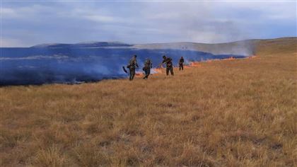 В Карагандинской области тушат крупный природный пожар