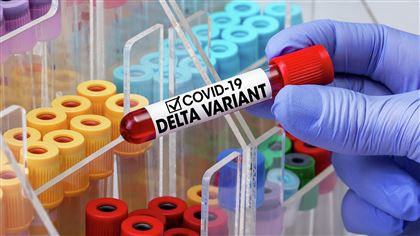 Рост заболеваемости коронавирусом в ВКО вызван дельта-штаммом и снижением дисциплины