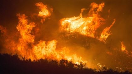 Президент Турции объявил зонами бедствия районы, которые пострадали от лесных пожаров
