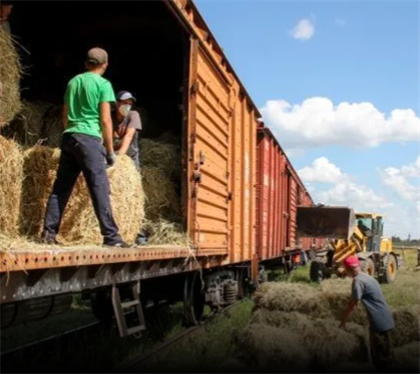 Павлодарцы отправили 250 тонн сена в Мангистаускую область