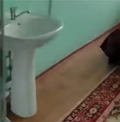 Иностранцев шокировал туалет в комнате гостиничного номера Казахстана