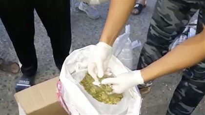 В Жамбылской области за три дня изъяли более 400 кг наркотиков