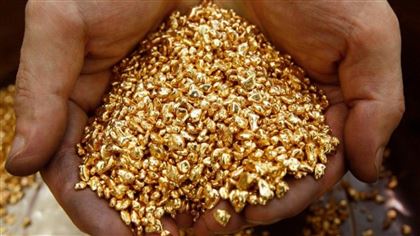 В Жамбылской области черные старатели выкопали десять тонн золотоносной руды
