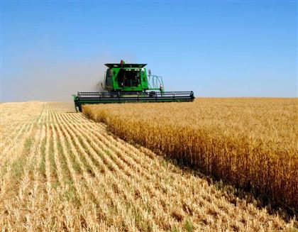 Экспорт сельхозпродукции увеличится в четыре раза в ВКО