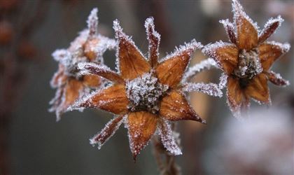 В Казахстане похолодает до минус шести градусов