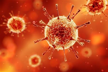 Худшее последствие пандемии COVID-19 назвала вирусолог