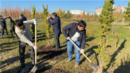 В Ботаническом саду Нур-Султана посадили 150 деревьев