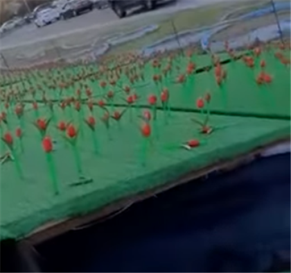 Возле поля пластиковых тюльпанов в Актау лежат оголенные провода 