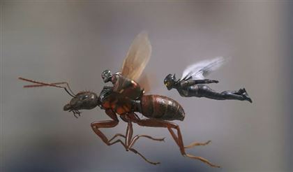Завершились съемки нового фильма Marvel о "Человеке-муравье"