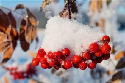Погода без осадков ожидается в Казахстане 29 ноября