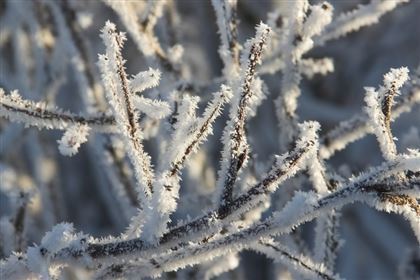 Новая волна холода ожидается в Казахстане