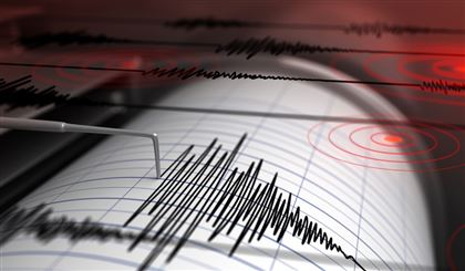В Аргентине произошло землетрясение магнитудой 4,8