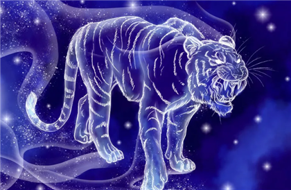 Кто из знаков Зодиака будет успешен в год Водяного Тигра: восточный гороскоп-2022