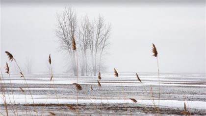 Снег и низовую метель обещают казахстанские синоптики в ближайшие дни