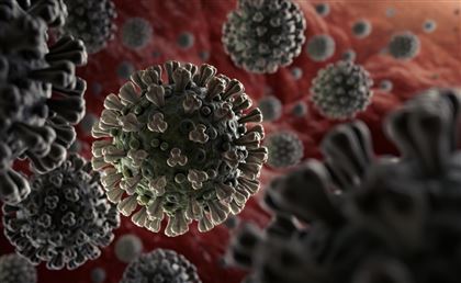 В Казахстане выявили ещё 393 заболевших с положительным ПЦР на коронавирусную инфекцию