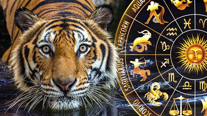 Как встретить и провести Новый год Тигра, чтобы привлечь удачу – астропсихолог