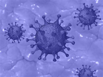 Сколько новых заражённых коронавирусом обнаружили в новогоднюю ночь