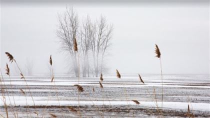 Снег с метелью ожидается в Казахстане в начале февраля