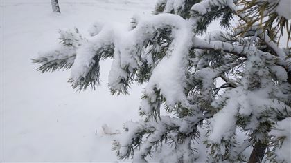 Восьмого февраля на большей части Казахстана ожидается снег