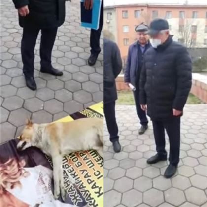 «Бәрін атыңдар, қырыңдар деген жоқ қой»: Бердібек Сапарбаев блогердің өлген иті үшін қарамағындағыларға сыртқа  шығып ұрысты