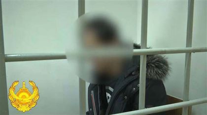 Задержанный в Алматинской области домушник рассказал, как обезопасить себя от кражи 