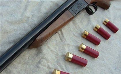 Незаконно хранившееся оружие изъяли полицейские в Акмолинской области
