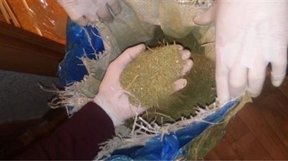 У жителя Акмолинской области изъяли 16 килограммов марихуаны 