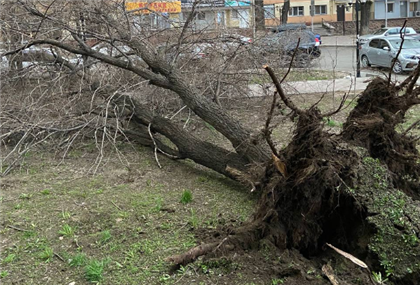 Штормовое предупреждение в Алматы: что творится с погодой - фото и видео