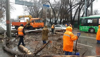 В Алматы в результате урагана пострадали двое мужчин