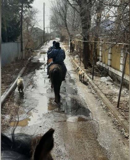 Затопленные дачи Актобе патрулирует конная полиция