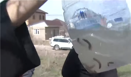 Жители Алматинской области жалуются на питьевую воду с червями 