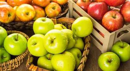 В РК садоводы просят ввести частичный запрет на импорт яблок