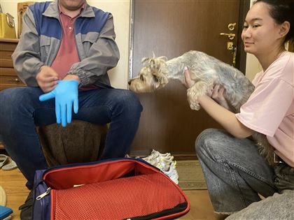 В Алматы бесплатно чипируют животных на дому: как это происходит