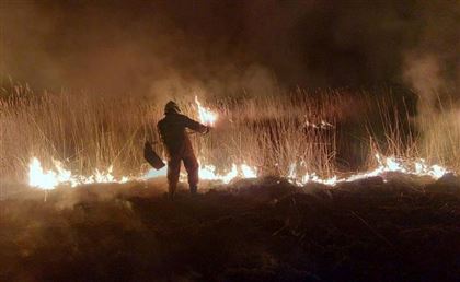 Заросли тростника загорелись в природном резервате "Акжайык" в Атырауской области