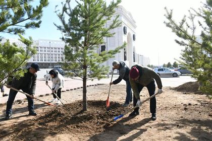 Более 4 тысяч деревьев высажено на общегородском субботнике в Нур-Султане