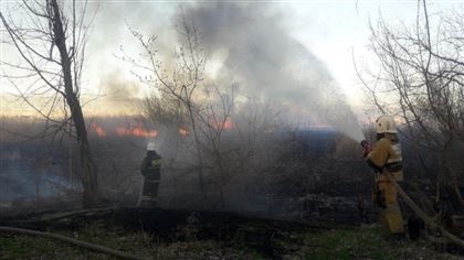 Более 6 миллиардов тенге составил ущерб от лесных пожаров в РК