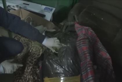 25 кг гашиша обнаружили в гараже столичные полицейские 