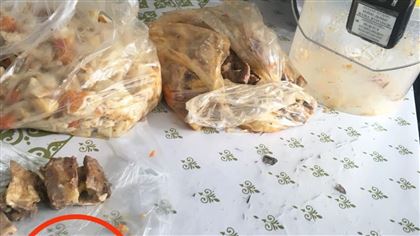 В Шымкенте осужденному пытались передать гашиш в булочках