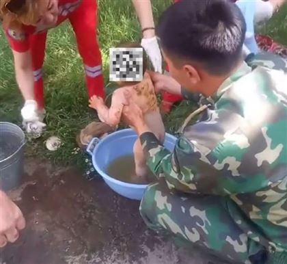 Малыш провалился в уличный туалет в Туркестанской области