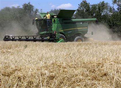 Экспорт пшеницы запретили в Индии