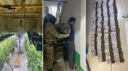 Россиянин организовал нарколабораторию в Акмолинской области