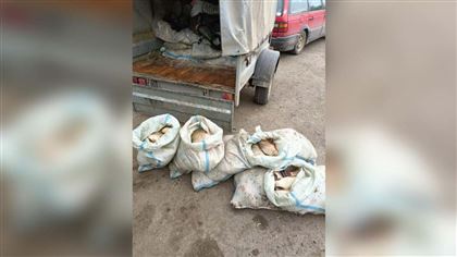 20 мешков с рыбой изъяли у браконьеров в Павлодарской области