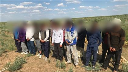 В Туркестанской области граждане Узбекистана незаконно добывали лекарственную траву