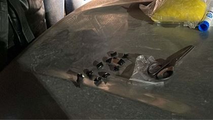 В Кокшетау полицейские изъяли у женщины почти 400 граммов «синтетики»