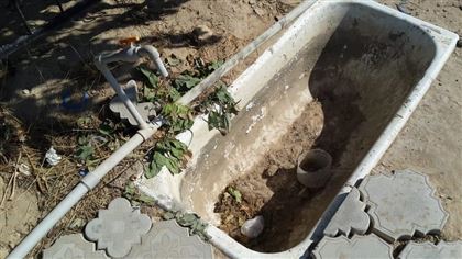 Чиновники объяснили, почему на кладбище в Актау нет воды 