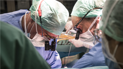 Ученые из Швейцарии разработали новый метод трансплантации печени