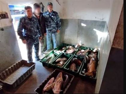 В ВКО полицейские изъяли у браконьеров более двух тонн рыбы